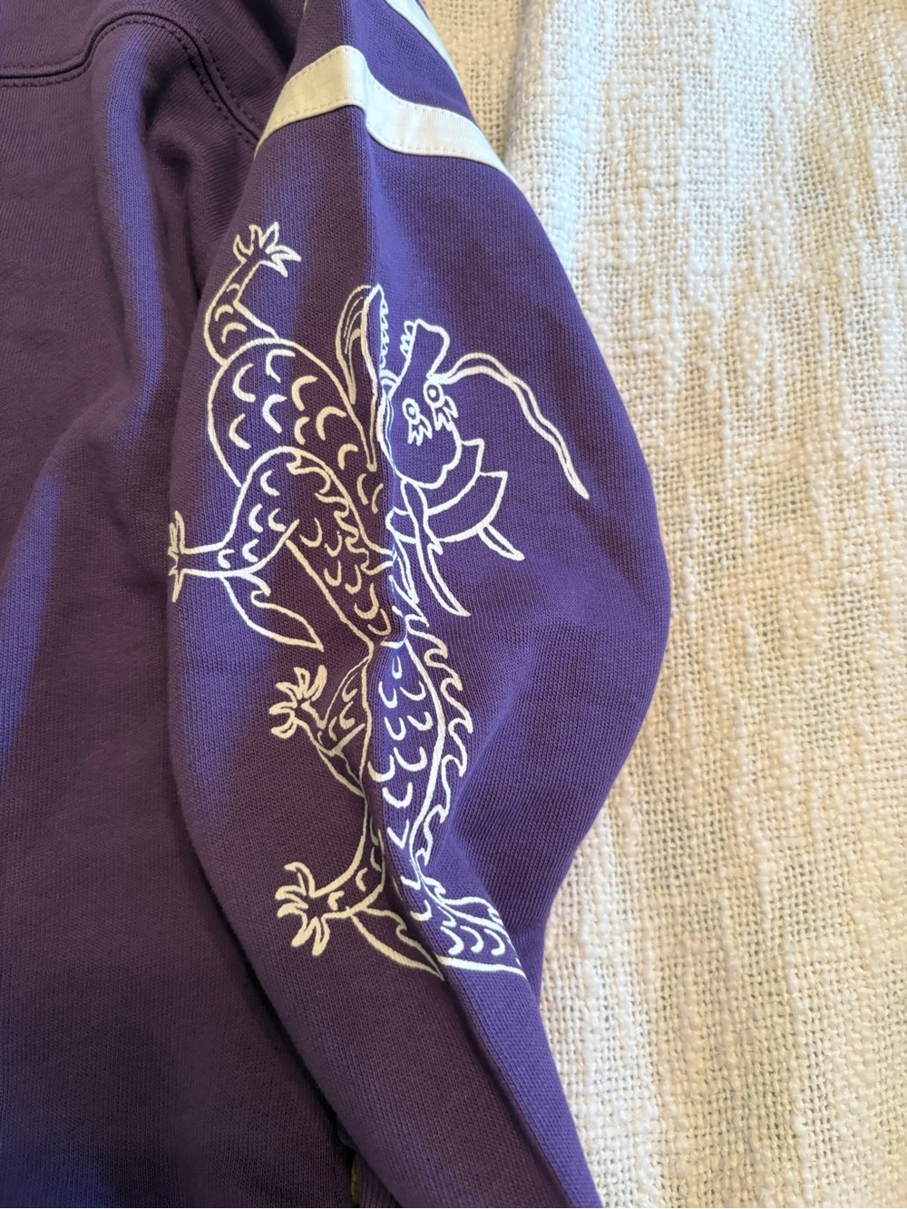 Tea Collection Girl’s Graphic Sleeve Sweatshirt size 6